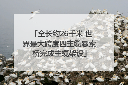 全长约26千米 世界最大跨度四主缆悬索桥完成主缆架设