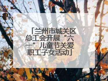 兰州市城关区总工会开展“六一”儿童节关爱职工子女活动