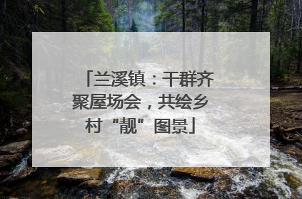 兰溪镇：干群齐聚屋场会，共绘乡村“靓”图景