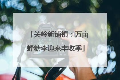 关岭新铺镇：万亩蜂糖李迎来丰收季