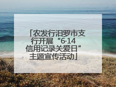农发行汨罗市支行开展“6·14信用记录关爱日”主题宣传活动