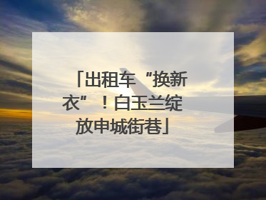 出租车“换新衣”！白玉兰绽放申城街巷