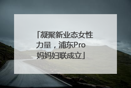 凝聚新业态女性力量，浦东Pro妈妈妇联成立