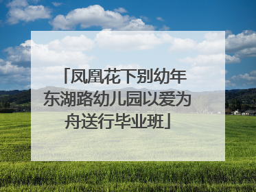 凤凰花下别幼年 东湖路幼儿园以爱为舟送行毕业班