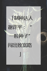 制种达人谢许平：“一粒种子”闯出致富路