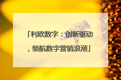 利欧数字：创新驱动，领航数字营销浪潮
