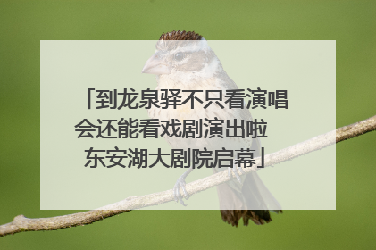到龙泉驿不只看演唱会还能看戏剧演出啦 东安湖大剧院启幕