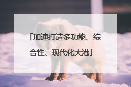 加速打造多功能、综合性、现代化大港
