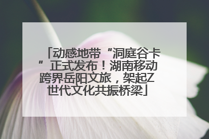 动感地带“洞庭谷卡”正式发布！湖南移动跨界岳阳文旅，架起Z世代文化共振桥梁