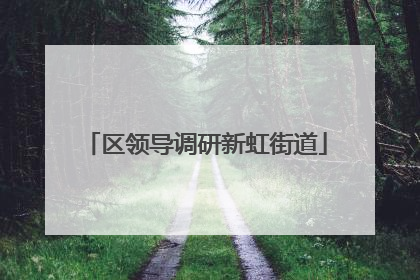 区领导调研新虹街道