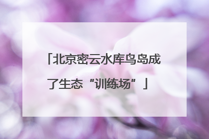 北京密云水库鸟岛成了生态“训练场”