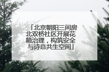 北京朝阳三间房北双桥社区开展花箱治理，构筑安全与诗意共生空间