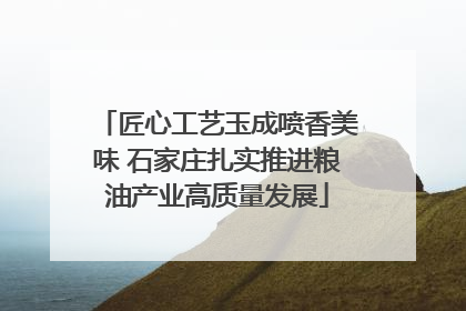 匠心工艺玉成喷香美味 石家庄扎实推进粮油产业高质量发展
