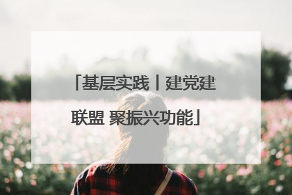 基层实践丨建党建联盟 聚振兴功能
