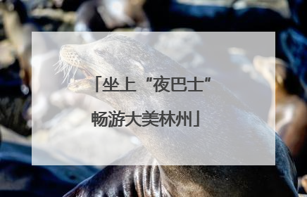 坐上“夜巴士” 畅游大美林州