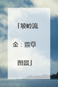 坡岭流金：萱草图景