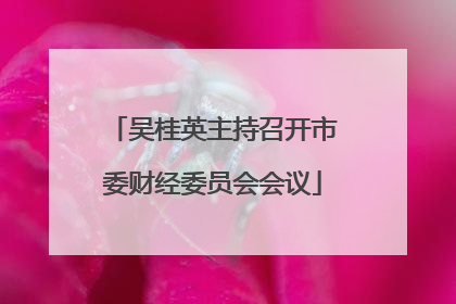 吴桂英主持召开市委财经委员会会议