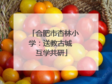 合肥市杏林小学：送教古城 互学共研