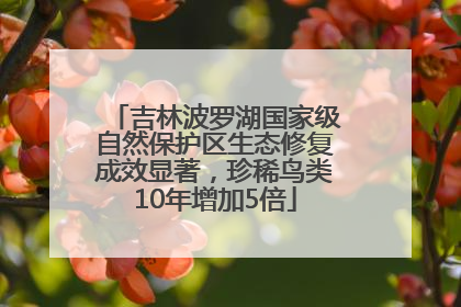 吉林波罗湖国家级自然保护区生态修复成效显著，珍稀鸟类10年增加5倍