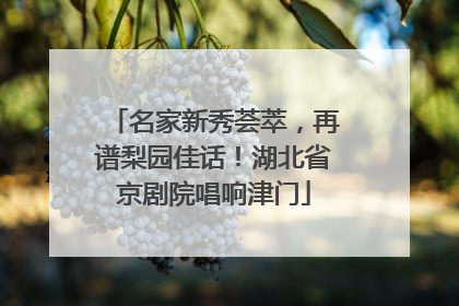 名家新秀荟萃，再谱梨园佳话！湖北省京剧院唱响津门