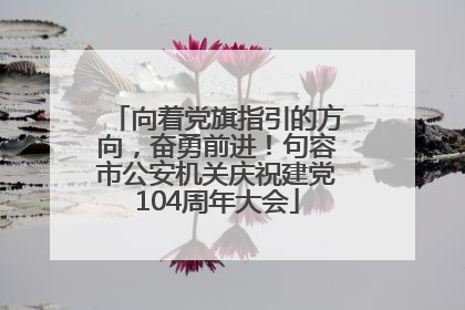 向着党旗指引的方向，奋勇前进！句容市公安机关庆祝建党104周年大会