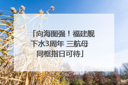 向海图强！福建舰下水3周年 三航母同框指日可待
