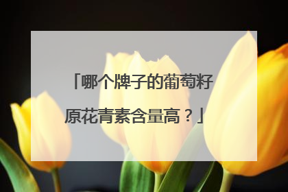 哪个牌子的葡萄籽原花青素含量高？