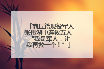 商丘籍现役军人张伟湖中连救五人 “我是军人，让我再救一个！”