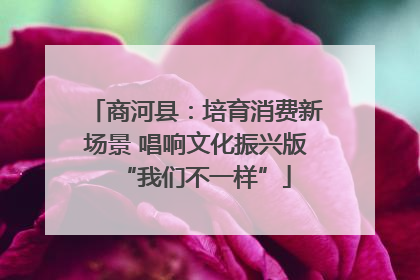 商河县：培育消费新场景 唱响文化振兴版“我们不一样”