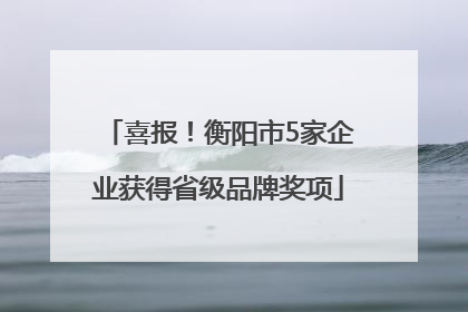 喜报！衡阳市5家企业获得省级品牌奖项