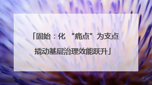 固始：化 “痛点”为支点 撬动基层治理效能跃升