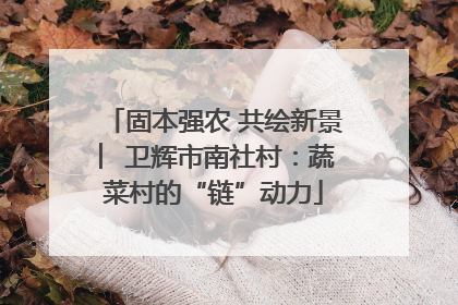 固本强农 共绘新景 ︳卫辉市南社村：蔬菜村的“链”动力