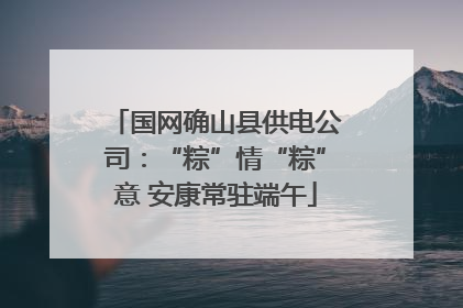国网确山县供电公司：“粽”情“粽”意 安康常驻端午