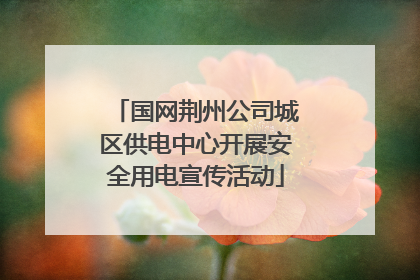 国网荆州公司城区供电中心开展安全用电宣传活动