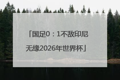 国足0：1不敌印尼 无缘2026年世界杯