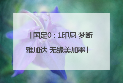 国足0∶1印尼 梦断雅加达 无缘美加墨