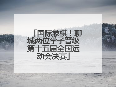 国际象棋！聊城两位学子晋级第十五届全国运动会决赛