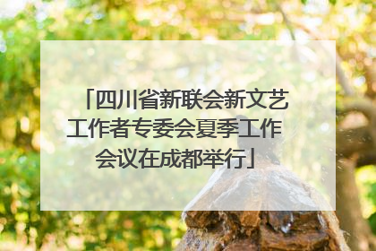 四川省新联会新文艺工作者专委会夏季工作会议在成都举行