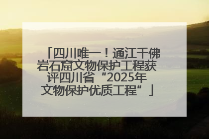 四川唯一！通江千佛岩石窟文物保护工程获评四川省“2025年文物保护优质工程”