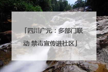 四川广元：多部门联动 禁毒宣传进社区