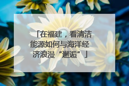 在福建，看清洁能源如何与海洋经济浪漫“邂逅”