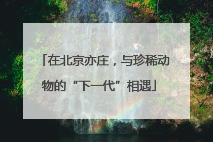 在北京亦庄，与珍稀动物的“下一代”相遇