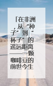 在非洲，从“种子”到“杯子”的遥远距离——一颗咖啡豆的前世今生（三）