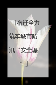 宿迁全力筑牢城市防汛“安全堤”