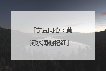 宁夏同心：黄河水润枸杞红