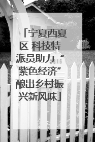 宁夏西夏区 科技特派员助力“紫色经济”酿出乡村振兴新风味