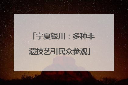 宁夏银川：多种非遗技艺引民众参观