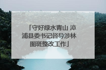 守好绿水青山 漳浦县委书记督导涉林图斑整改工作