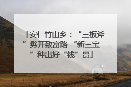 安仁竹山乡：“三板斧”劈开致富路 “新三宝”种出好“钱”景