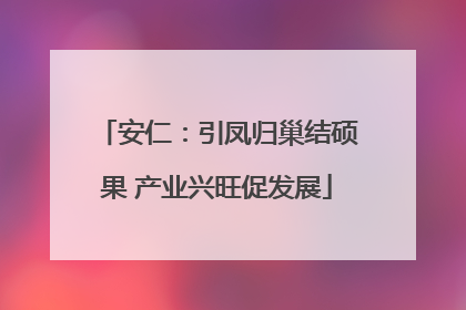 安仁：引凤归巢结硕果 产业兴旺促发展